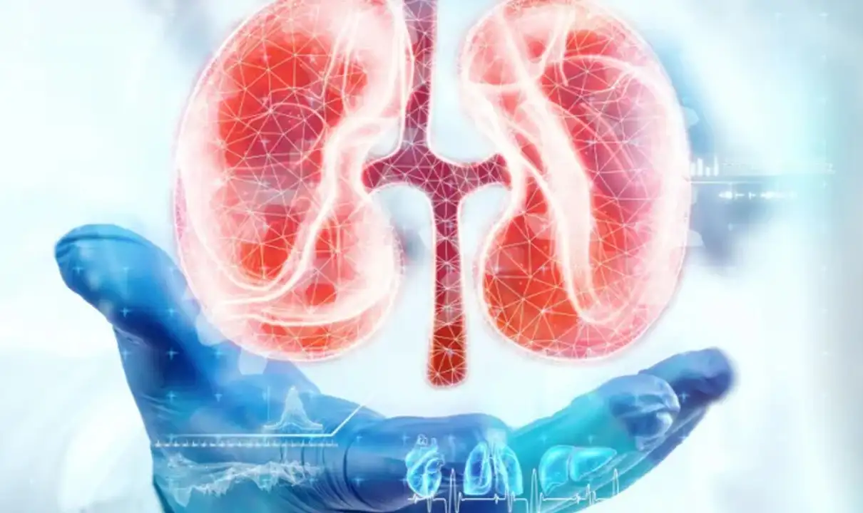 Why Water is Important for KIDNEYS?